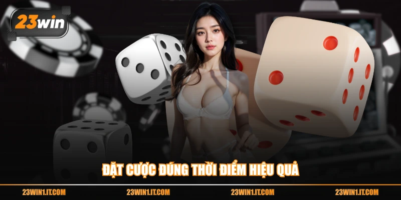 Đặt cược đúng thời điểm hiệu quả